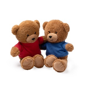 STA Teddy Bear - Img 7