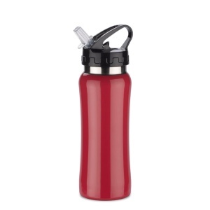 Steel Bidon PATRO 600 ml - Img 3