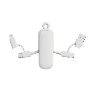 Urban Vitamin Dublin 100W 4 -in-1 keychain cable - Img 7