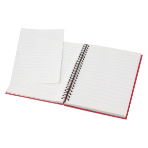 AP™ Blocnotes