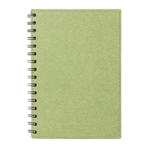 AP™ Blocnotes