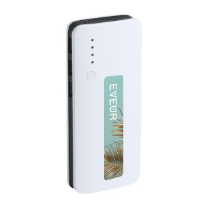 AP™ Power Bank