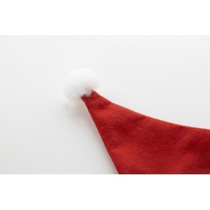 AP Mikku - RPET Santa hat - Img 2