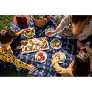 AX™ Pătură de picnic | Lane - Img 3