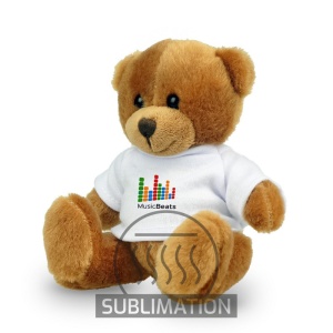 AX™ RPET plush teddy bear | Denis R - Img 7