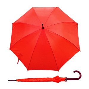 BC Umbrella STICK - Img 19