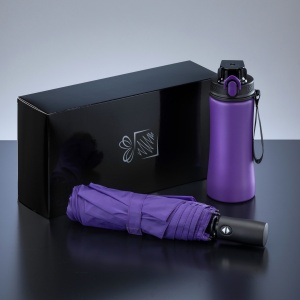 CO Primo Everyday Set: sticlă de apă 550 ml și umbrelă complet automată Harvard