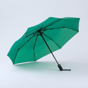 CO Primo Everyday Set: sticlă de apă 550 ml și umbrelă complet automată Harvard