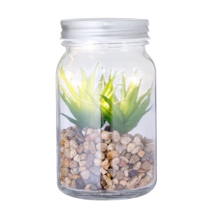 MAK Kyala - Plantă decorativă - Img 2