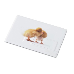MO™ a Creditcard. USB flash 4GB
