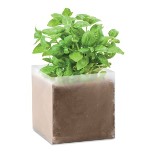 MO BASIL - Compost with seeds "BASIL"
