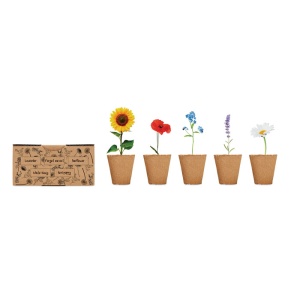 MO FLOWERS - Flowers growing kit - Img 3
