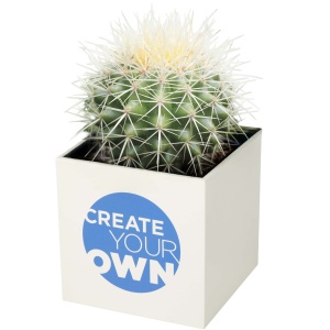 PF™ Hey Pots aluminium planted pot - cactus