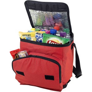 PF™ Stockholm foldable cooler bag 10L