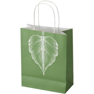 PF Kraft 120 g/m2 paper bag with twisted handles - 18 x 9 x 23 cm
