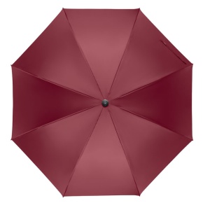 RAYNA 27" auto umbrella wood handle - Img 13