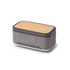STA Speaker Mornix