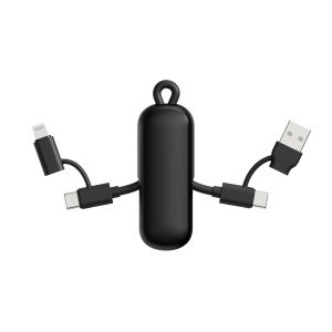 Urban Vitamin Dublin 100W 4 -in-1 keychain cable - Img 4