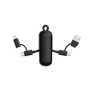 XD Urban Vitamin Dublin 100W 4 -in-1 keychain cable