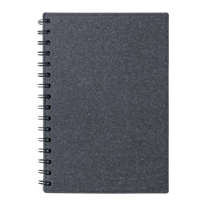 AP™ Blocnotes