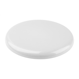 AP™ Frisbee