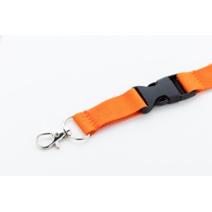 AP™ Lanyard, Rpet