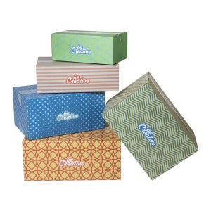 AP CreaBox Cargo L - cutie de transport - Img 4