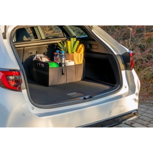 AX™ organizator auto pliabil | Reign - Img 5
