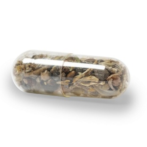 AX™ Wildflower seed capsule - Img 6