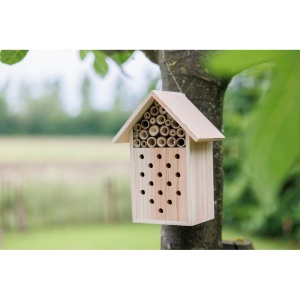 AX Beehouse - Img 2