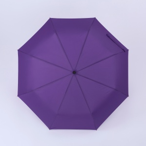 CO Cambridge umbrelă complet automată