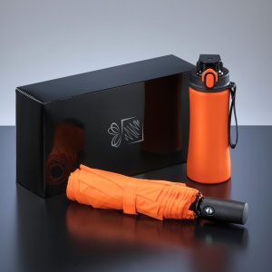 CO Primo Everyday Set: sticlă de apă 550 ml și umbrelă complet automată Harvard