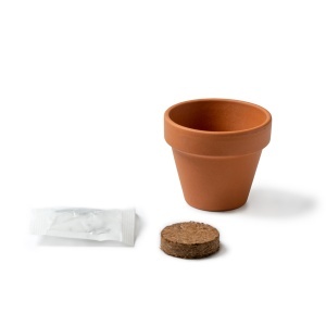Flower Pot - Img 4