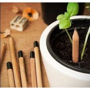Gathered™ Recyclable pencil with seeds