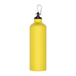 MC Sticlă din aluminiu cu carabină, 800ml
