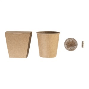 MerryGrow - set pentru cultivarea bradului de Crăciun - Img 4