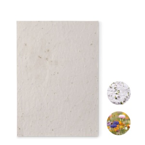 MO ASIDE A5 wildflower seed paper sheet
