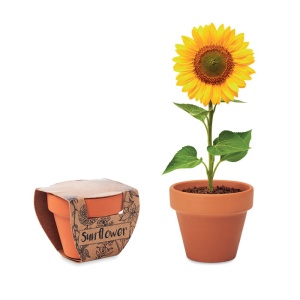 MO SUNFLOWER - Vas "floarea soarelui" - Img 2