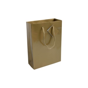 ON 157 g/m2 laminated paper shopping bag with gusset and bottom reinforcement, string handles
