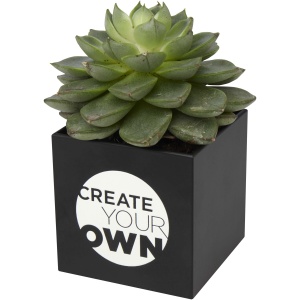 PF™ Hey Pots aluminium planted pot - succulent