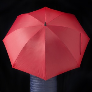 PF Umbrelă de golf Zeke 30" - Img 10