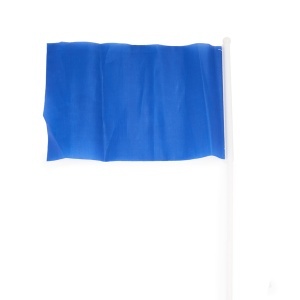 STA Celeb Flag - Img 12