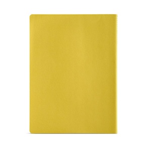 AO™ Bronte A5 Notebook Recycled Paper 70 gsm