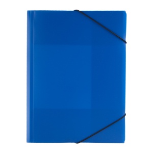 AP™ Mapa Documente Din Pvc