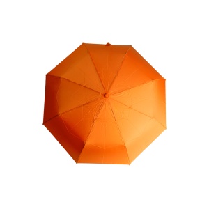 AP™ Umbrelă, Rpet