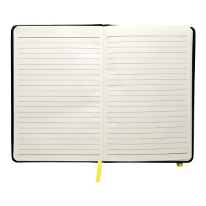 AP Andesite - notebook - Img 10