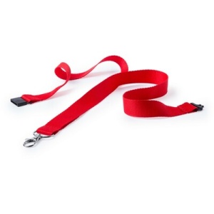 AX™ Lanyard - Img 1