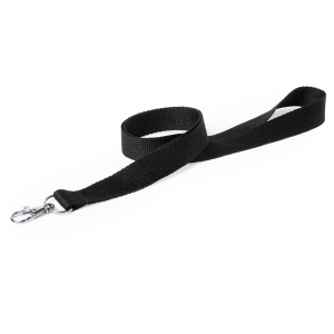 AX Lanyard - Img 4