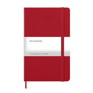 AX MOLESKINE diary - Img 6