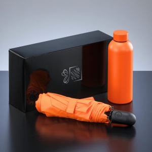CO Active Set: sticlă termică pentru apă 500 ml și umbrelă automată